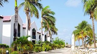 Van der Valk Plaza Beach & Dive Resort Bonaire