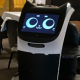 Revolutie in gastvrijheid: het gebruik van horecarobots in onze restaurants